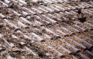 Green Hill roof cleaning companies